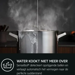 AEG TI64IB1BIZ 7000 SenseBoil inductiekookplaat, SaphirMatt® 60 cm