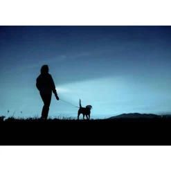 Ansmann DAILY USE LED ZAKLAMP 315LM 300B