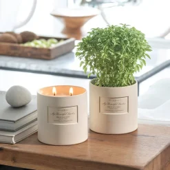 Atelier Rebul Fresh Cut Geurkaars Fig & Coconut 600g