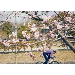 Cannondale 700 M SuperSix EVO Carbon DISC 105 Black Pearl 54 (X)