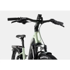 Cannondale TESORO NEO X 1 Low StepThru Agave