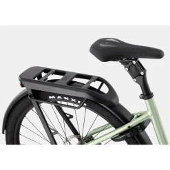 Cannondale TESORO NEO X 1 Low StepThru Agave