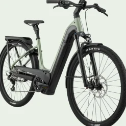 Cannondale TESORO NEO X 1 Low StepThru Agave