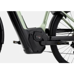 Cannondale TESORO NEO X 1 Low StepThru Agave