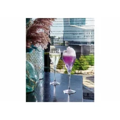 Chef & Sommelier Symetrie Champagneglas Set6 16cl