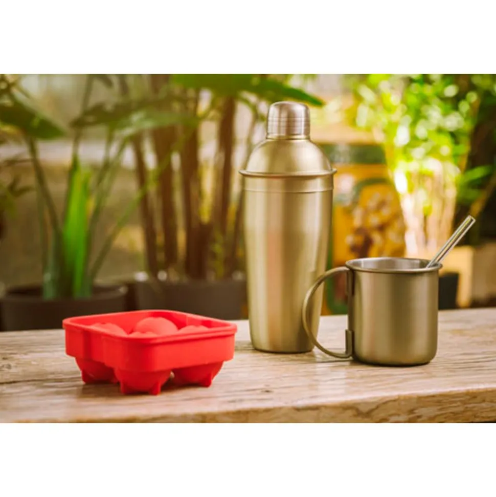 Cosy & Trendy Ijsblokhouder Ballen Rood 4st D4.5cm Silicone