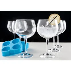 Cosy & Trendy Ijsblokhouder Ballen Rood 4st D4.5cm Silicone