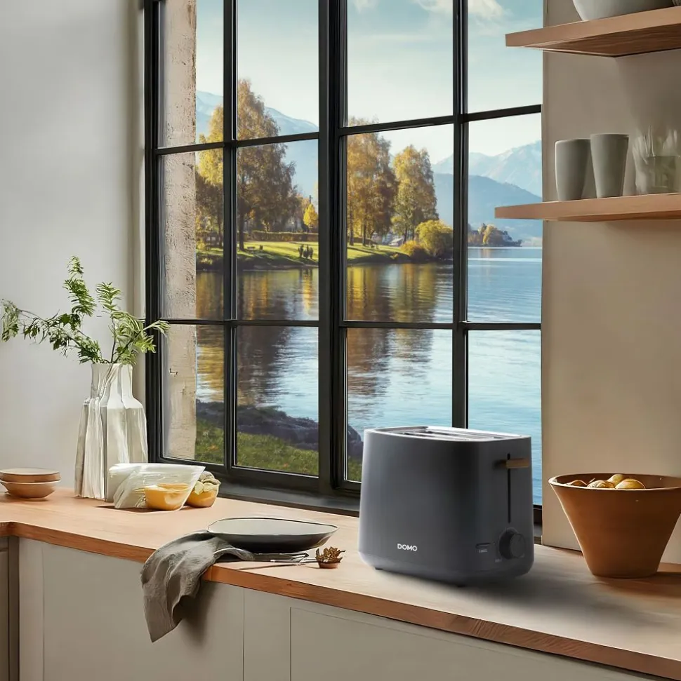 Domo Wood You Broodrooster 2 sneden mat grijs