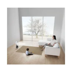 Dyson AM10 Wit/Zilver