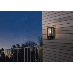 Eglo ALAMONTE Wandlamp staal zwart / Glas helder H: 295 mm