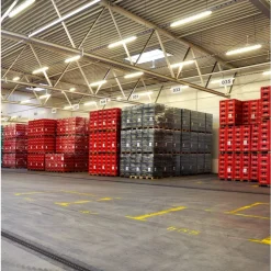 Eglo BASIC - Kunststof grijs / Kunststof transparant H: 56 mm