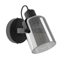 Eglo BERREGAS spot staal zwart, chroom / glas gestoomd zwart-transparant Ø 110 mm