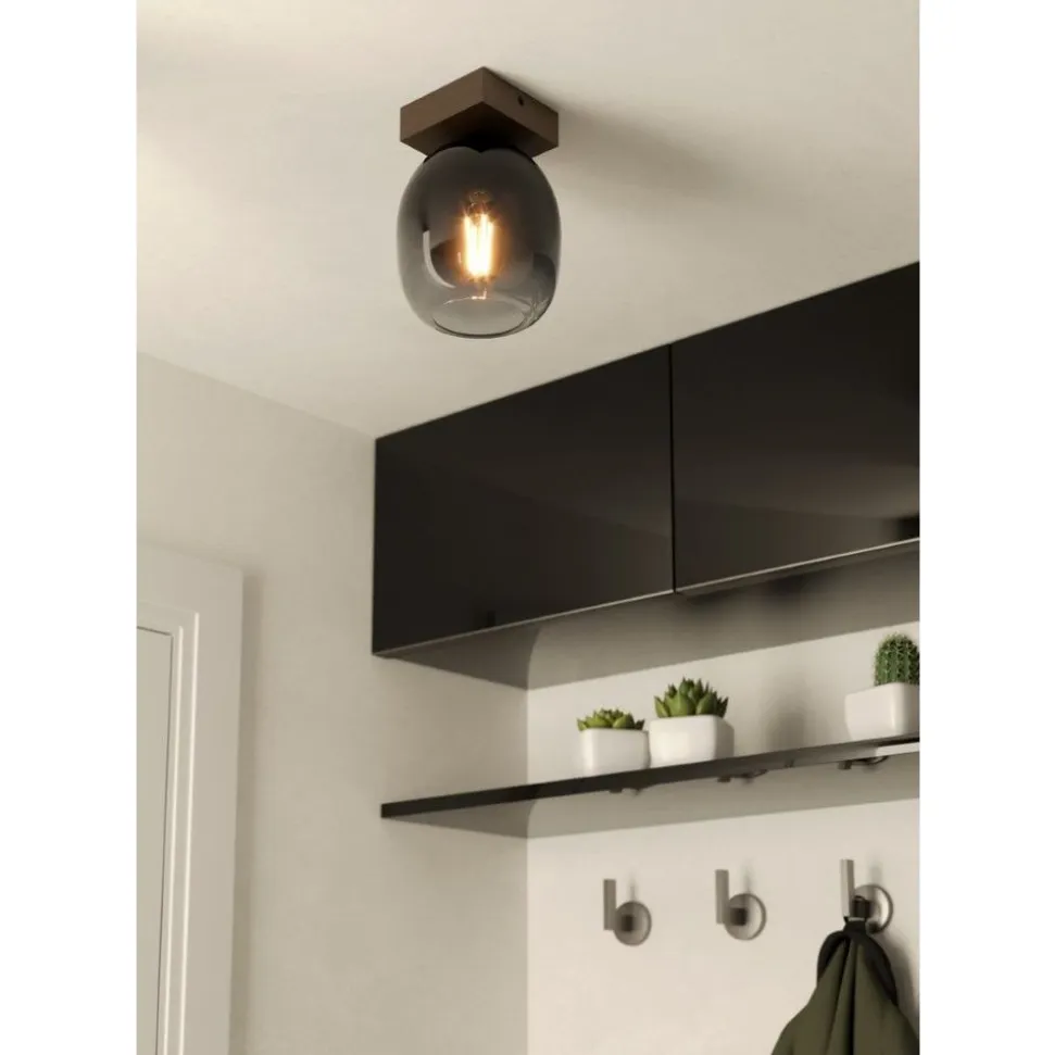 Eglo FILAGO Plafondarmaturen hout, staal bruin / Glas zwart, grijs, transparant H: 200 mm | Ø 145 mm