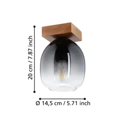 Eglo FILAGO Plafondarmaturen hout, staal bruin / Glas zwart, grijs, transparant H: 200 mm | Ø 145 mm