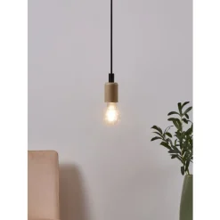 Eglo LEDE27 Lichtbron / Glas helder Ø 60 mm