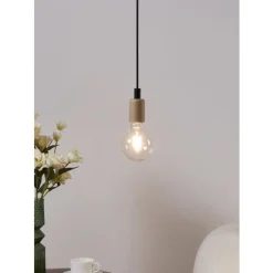 Eglo LEDE27 Lichtbron / Glas helder Ø 95 mm