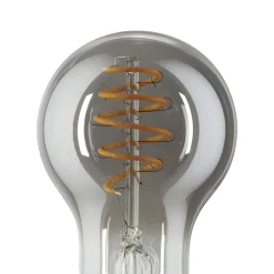 Eglo LEDE27 Lichtbron / glas gestoomd zwart-transparant Ø 60 mm