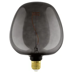 Eglo LEDE27 Lichtbron / Glas zwart Ø 190 mm