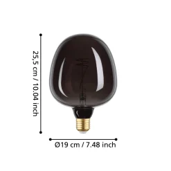 Eglo LEDE27 Lichtbron / Glas zwart Ø 190 mm