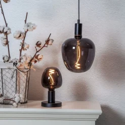 Eglo LEDE27 Lichtbron / Glas zwart Ø 190 mm