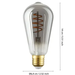 Eglo LEDE27 Lichtbron / glas gestoomd zwart-transparant Ø 64 mm