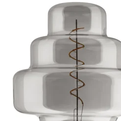 Eglo LEDE27 Lichtbron / Glas zwart-transparant Ø 200 mm