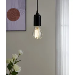 Eglo LEDE27 Lichtbron / Glas helder Ø 60 mm