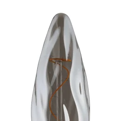 Eglo LEDE27 Lichtbron / Glas zwart-transparant Ø 78 mm