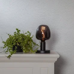 Eglo LEDE27 Lichtbron / Glas zwart Ø 125 mm