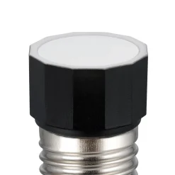 Eglo LEDE27 Lichtbron / Glas wit Ø 32 mm