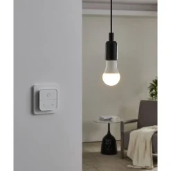 Eglo LEDE27 Lichtbron Kunststof wit / Kunststof opaal Ø 60 mm