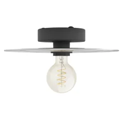 Eglo LINTMILL Wand-/plafondlamp staal zwart / Glas grijs H: 75 mm | Ø 300 mm