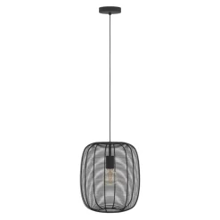 Eglo RINHOU PENDEL 1xE27 ZWART