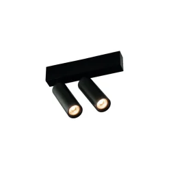 Fantasia Lopal 2L 4W 360LM ceiling  sandy black