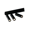 Fantasia Lopal 3L 4W 360LM ceiling  sandy black