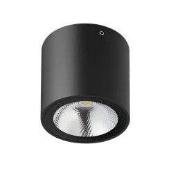 Fantasia ZAZOU ceiling light 1x6W 3000K IP54 black