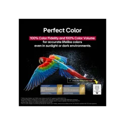 LG Electronics OLED evo AI 4K Smart TV OLED42C54LA