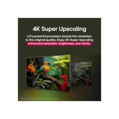 LG Electronics QNED AI 4K Smart TV 43QNED84A6C