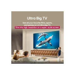 LG Electronics QNED evo AI MiniLED 4K Smart TV 75QNED93A6A