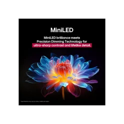 LG Electronics QNED evo AI MiniLED 4K Smart TV 65QNED93A6A