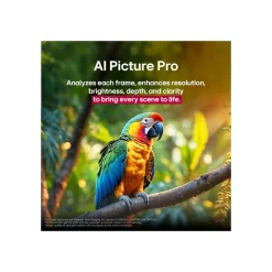 LG Electronics QNED evo AI MiniLED 4K Smart TV 65QNED93A6A