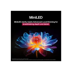 LG Electronics QNED evo AI MiniLED 4K Smart TV 55QNED87A6B