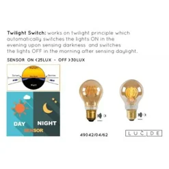 Lucide A60 TWILIGHT SENSOR - Filament lamp Buiten - Ø 6 cm - LED - E27 - 1x4W 2200K - Amber