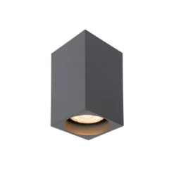 Lucide DELTO - Plafondspot - LED Dim to warm - GU10 - 1x5W 2200K/3000K - Grijs