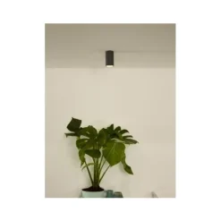 Lucide DELTO - Plafondspot - Ø 5,5 cm - LED Dim to warm - GU10 - 1x5W 2200K/3000K - Grijs