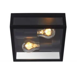 Lucide DUKAN - Plafonnière Buiten - 2xE27 - IP65 - Zwart