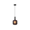 Lucide ELOISE Hanglamp-Zwart-Ø21-1xE27-40W-Glas