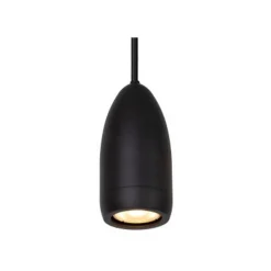 Lucide EVORA Hanglamp-Zwart-Ø10-1xGU10-35W-Metaal