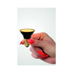 Lucide G45 Led lamp-Zwart-LED Dimb.-1xE14-5W-2700K