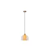 Lucide GUNHILD Hanglamp-Transp.-Ø24-1xE27-60W-Glas
